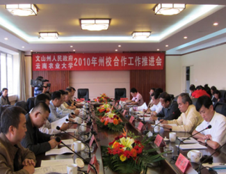 苗乡三七与云南农大签署校企合作协议，构建了战略联盟关系