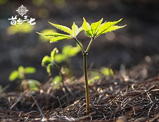 浅谈二十四节气与疾病的关系，节气变化如何养生