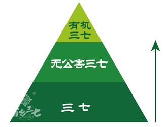 三七有几个等级？分级依据是什么？