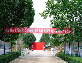 原生境种植三七的意义