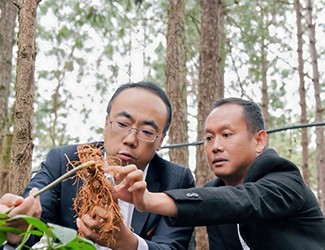 三七良种喜获丰收，实现产量含量双突破！