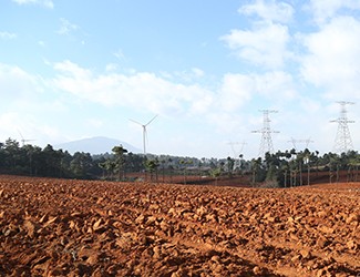 三七土壤危机何解？官会林教授开出“生态药方”
