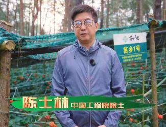 陈士林院士谈三七品种选育及苗乡三七开展品种保育的意义